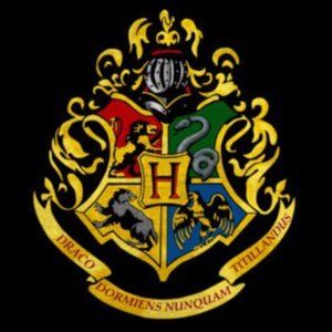 Meet your Posher, Adonya 💚❤️💛💙